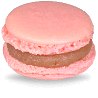 Macarons Shipped | Handcrafted by French chefs – Pastreez