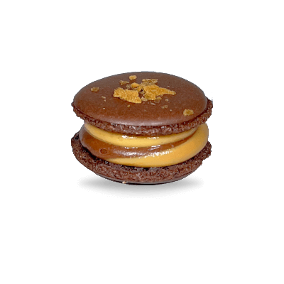 Peanut Butter Chocolate