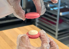 Pro macarons ebook