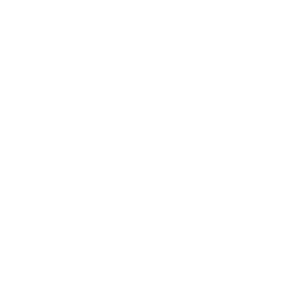 Shipping protection Damage & loss ($3)