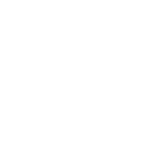Shipping protection Damage & loss ($3)